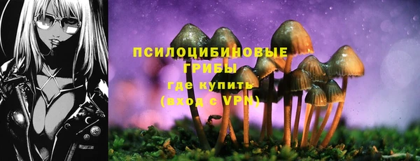 ECSTASY Алексин