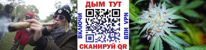 Бошки Шишки семена  Купить где  Киреевск 
